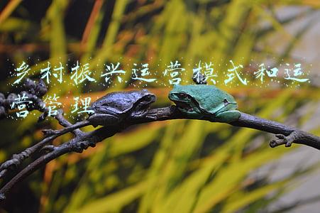 乡村振兴安吉模式(安吉模式 | 把产业辐射到全国各地，看安吉白茶的乡村振兴)