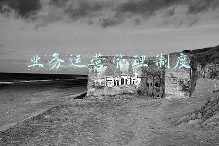 转关业务运营管理制度(天津跨境电商产业发展调查：制造企业“出海”闯新路)