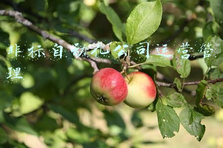 非标自动化行业怎么样(非标自动化设备行业的现状及前景)