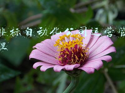 非标自动化行业发展状况及前景(工业4.0下的“新宠儿”——非标自动化领域的市场前景简析！)