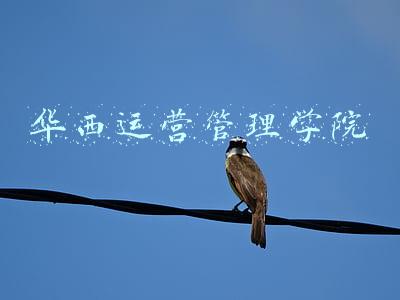 华西运营管理学院