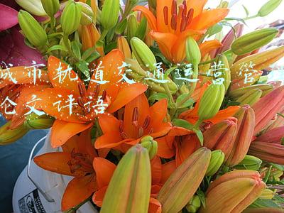 城市轨道交通运营管理论文评语