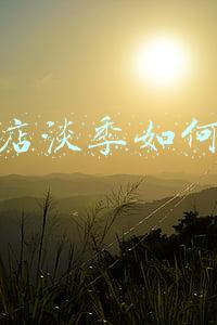 干洗店夏季如何经营(干洗店淡季如何经营)