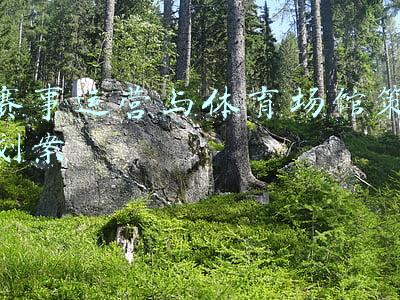 赛事运营与体育场馆策划案