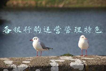 食堂管理特色(食堂管理难？四个管理食堂的方法助力)