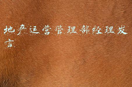 地产运营管理部经理发言