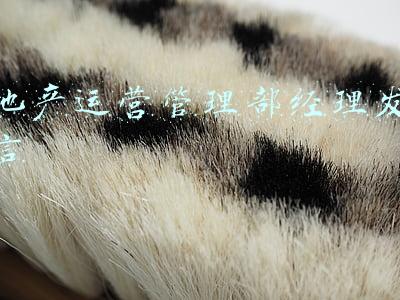 地产运营管理部经理发言