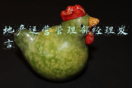 地产运营管理部经理发言