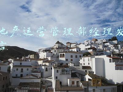 地产运营管理部经理发言