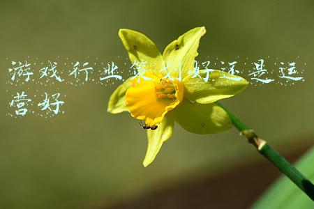 游戏行业策划好还是运营好