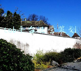 tob平台运营策划
