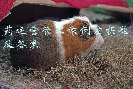 工商管理案例分析题(2021年中级经济师考试《工商管理》重点试题题库精选一)
