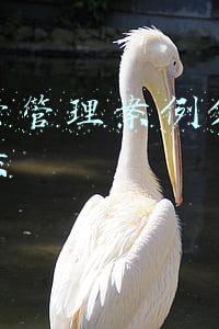 档案管理案例分析题(以案释法案例｜某公司游泳池逾期未建立卫生管理档案案)