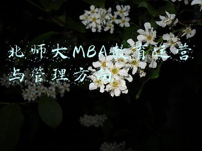 北师大mba怎么样(三十二岁在北师大读MBA，我觉得很幸运)