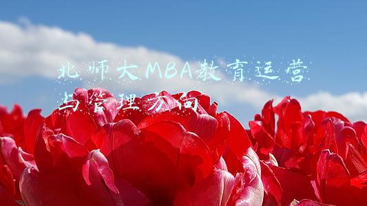 北师大mba什么水平(北京师范大学MBA专业目录)