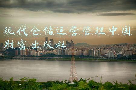现代仓储运营管理中国财富出版社
