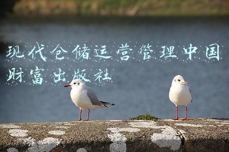 现代仓库管理和物流管理书籍(数仓怎么学？过来人告诉你这几本书是必看的)