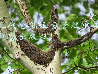 中国财富出版社在哪里(收藏！全国584家出版社名录（上）)