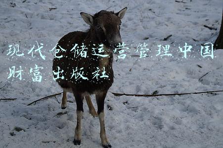 现代仓储运营管理中国财富出版社