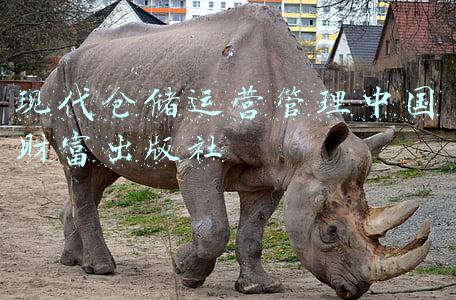 现代仓储运营管理中国财富出版社