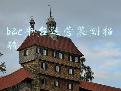 b2c平台运营策划招聘