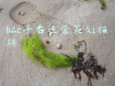 b2c平台运营策划招聘