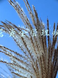 运营资金管理规定