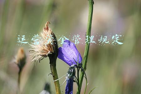 资金管理规定(钱到底怎么花？众议科研经费管理新政)
