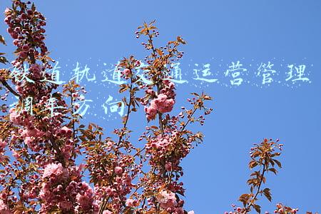 铁道轨道交通运营管理调车方向