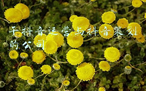 资产运营是干什么(合肥一国企招聘17人！)