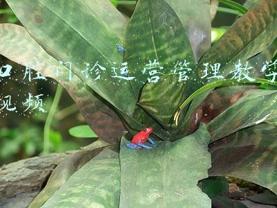 口腔门诊运营管理教学视频