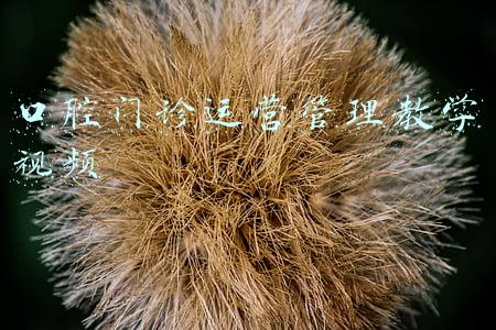 口腔修复学教学视频(口腔修复医师居然需要掌握这么多…)