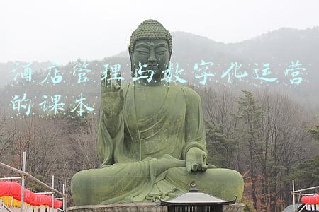 酒店管理与数字化运营的课本