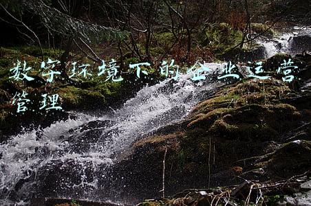 企业数字化运营是什么(数字化转型背景下，如何高效地做好数字化运营？)