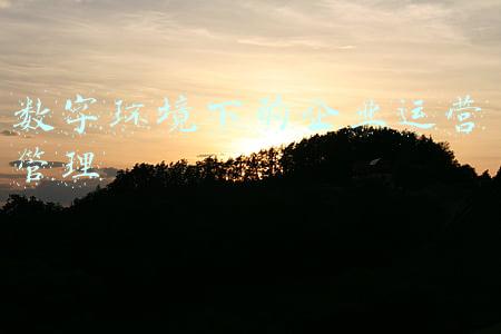数字化营商环境(主动服务 靠前服务 精准服务 以数字化改革赋能营商环境再提升)