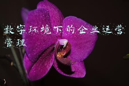 数字媒体行业环境分析(中国数字媒体适配器市场报告、及市场预测)