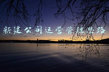 新建公司运营管理思路