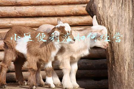 小区便利店开店方案《小区便利店开店方案怎么做》