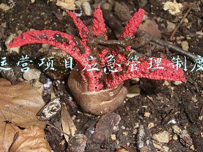 应急项目管理规定(应急管理部批准2项安全生产行业标准 3月1日起正式施行)