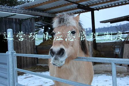 ppp项目运营管理制度(PPP项目模式及增值税管理)