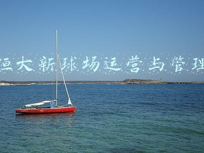 恒大新球场方案出炉(恒大新足球场设计方案改了！最新效果图曝光，灵感来自“并蒂莲”)