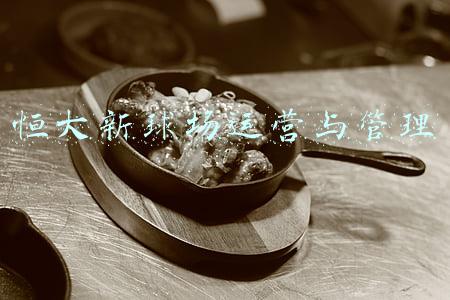 恒大球场最新进展(可容纳十万人的恒大足球场，土地被收回了？恒大未否认)