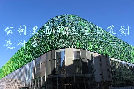 公司里面的运营与策划是什么