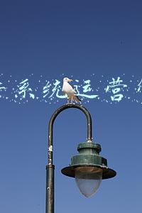 软件公司运营(帮助企业降本增效，提高IT运营效率的六种方法)