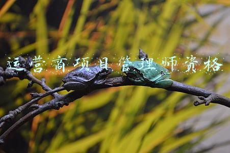 运营项目工程师(专业解读 | 汽车维修与运营工程师专业，对汽车技术感兴趣了解一下)
