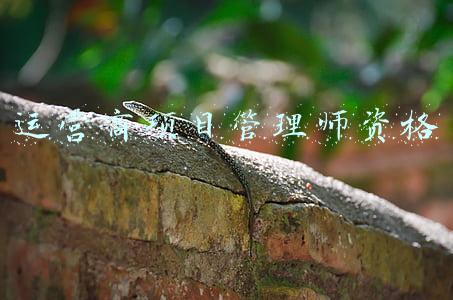 运营商项目管理师资格