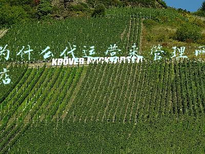 为什么代运营来管理网店