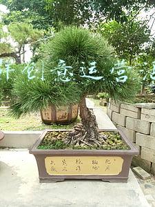 微信群创意运营活动策划