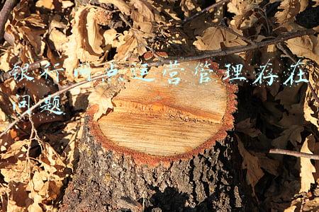 银行网点日常管理存在的问题(再说银行分支机构“关停潮”：我们需要怎样的线下网点？| 愉见财经)