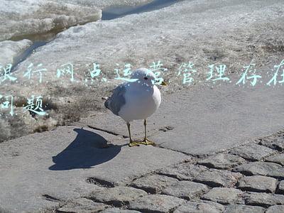 银行运营管理存在的不足(银行信用卡与互联网平台合作或将受限)